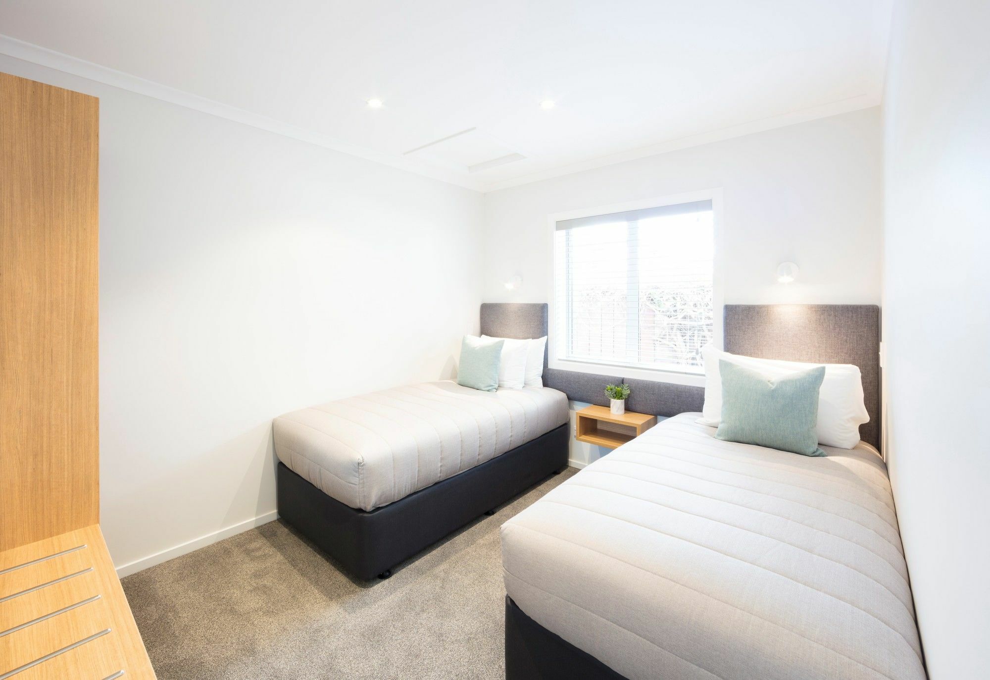 ديوندين Beechwood Boutique Accommodation المظهر الخارجي الصورة