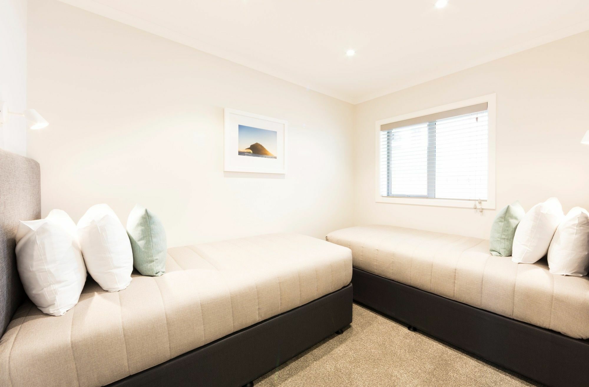 ديوندين Beechwood Boutique Accommodation المظهر الخارجي الصورة